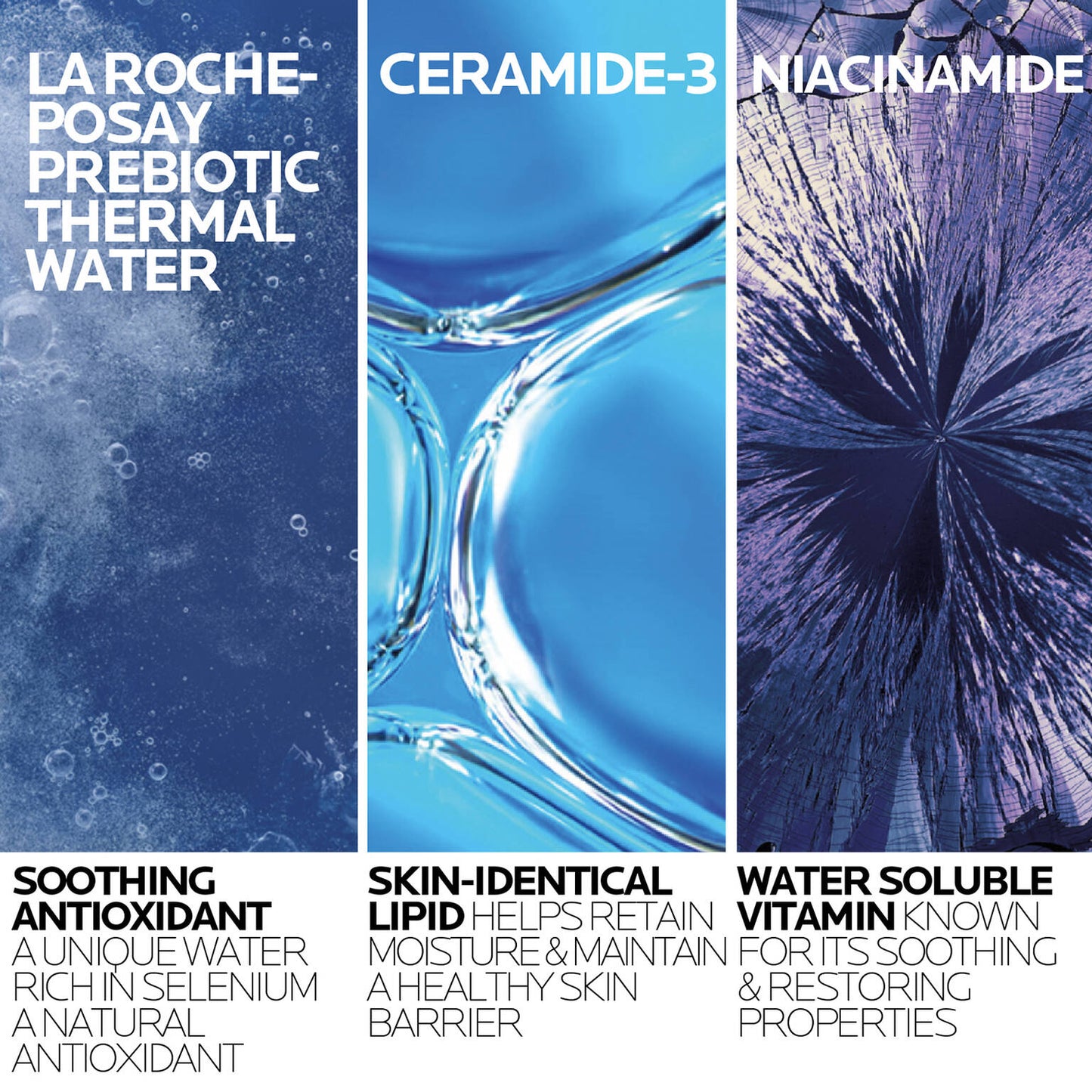 toleriane-purifying-foaming-cleanser-and-toleriane-double-repair-face-moisturizer-travel-set-x8 2-TolerianeCleanserUSRefill-400ml-ATF Ingredient Science-Rev.jpg