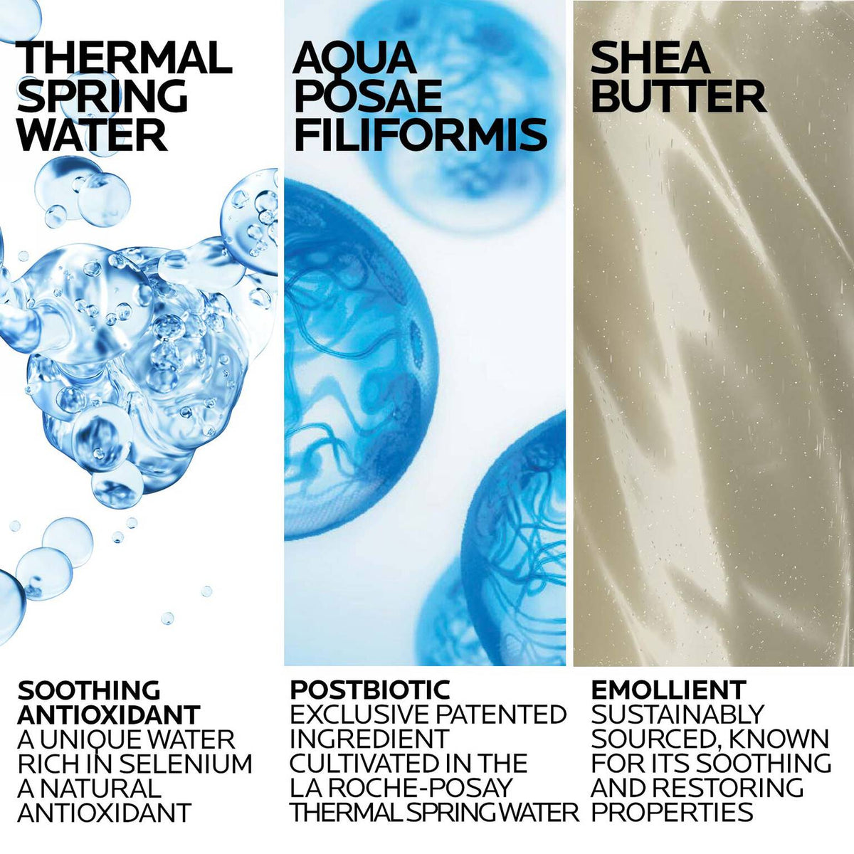 lipikar-wash-ap-moisturizing-body-and-face-wash-e7 Lipikar-Wash-ingredients_1500x1500-REV.jpg